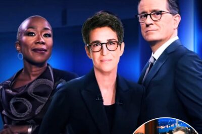 “Corporate Media Didn’t See This Coming”: Maddow, Colbert, and Reid Quietly Back Radical New Independent Newsroom — Network Executives Panic as Power Balance Threatens Collapse!