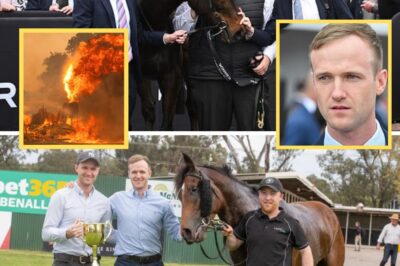 Famous racing family’s devastating bushfire update, with seven thoroughbreds d-e:ad!