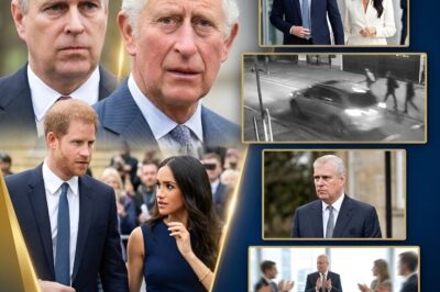 Should Harry and Meghan Be Stripped of Their Royal Titles — Just Like Prince Andrew?