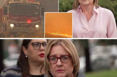 CAN’T WAIT ANY LONGER — Victorian Premier Hits Back at Criticism Over Resources Amid Bushfire Crisis, Issuing a Firm Statement on the Path Ahead!