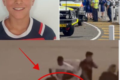 FINAL RECORDING FILE: The Entire 37-Second Audio Before Nico Antic’s D-e:ath Is Sh0cking — In the Last Second He Only Managed to Shout Three Words!