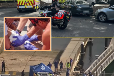 “HE JUMPED — AND THEN EVERYTHING WENT SILENT”: Boy Fighting for Life After Shark A-:ttack at Sydney Harbour — CCTV Reveals Horrifying Moment at Nielsen Park Before He Was Airlifted to Hospital!