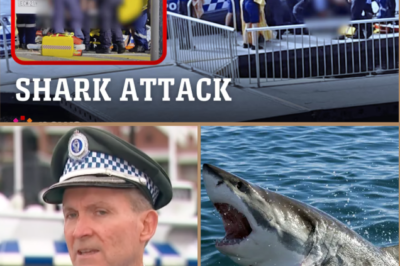 “HE RISKED HIS LIFE TO SAVE HIS FRIENDS!” — Teen Jumps into Water to Save Friend from Shark A-t:tack in Sydney Harbour!