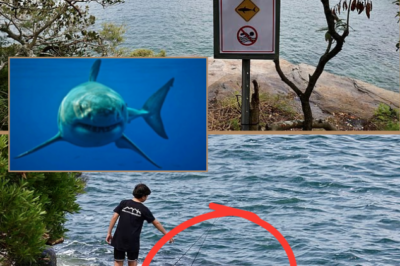 FAMILY OF HERO BOY WHO SAVED HIS 12-YEAR-OLD FRIEND FROM SYDNEY HARBOUR SHARK ATTACK BREAK THEIR SILENCE — AS NEW DETAILS EMERGE: “TRAUMATISED”!