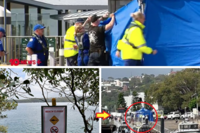 “He Was Saved — But…” — Family of the 12-Year-Old Boy in the Sydney Harbour Shark Attack Finally Breaks Their Silence, as Dramatic New Details About the Final Moments Are Revealed!