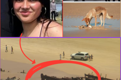 “THAT POOR YOUNG GIRL WAS SO HAPPY TO BE HERE.” Wide Bay District Inspector Paul Algie confirmed that the 19-year-old Canadian backpacker had been living and working on K’gari (Fraser Island) for six weeks alongside a friend when tragedy struck.