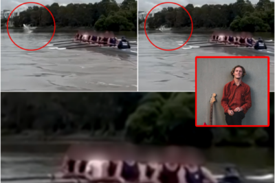 “HEART-ST0PPING MOMENT…” — Shark Suddenly Leaps From Parramatta River Just Metres From The King’s School Students, Sparking Panic