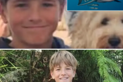 Nico Antic was an outstanding member of the rescue team, yet he could not save himself