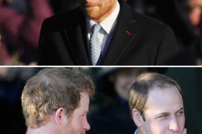 The Brutal Truth Behind The Palace: Prince Harry Exposes The “Weapon” Destroying Brotherhood And The Devastating Internal War On New Year’s Eve!