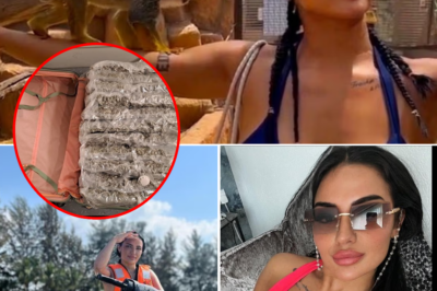 A British girl living on social benefits but traveling like a billionaire, until the horrifying secret inside her suitcase was exposed at the airport!