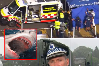 “I was so scared, but I was even more scared that my friend would d!:e”: Heart-wrenching first words from the young hero who dove into the water to save his mate from the shark’s aggressive jaws