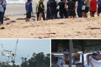 Nature in the region, shadows fall over Sydney: Third shark att@ck in 24 hours, victim in critical condition