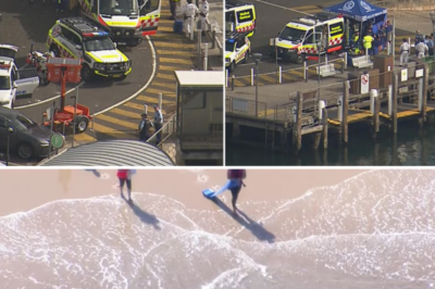 What h0rrific shark att@cks has Sydney experienced over the past two decades?