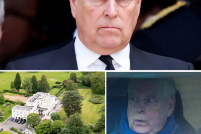 Officially “Evicted” From The 30-Room Mansion: The Humiliating Fall From Grace Of The Royal Favorite And The End Of The Final Glories!