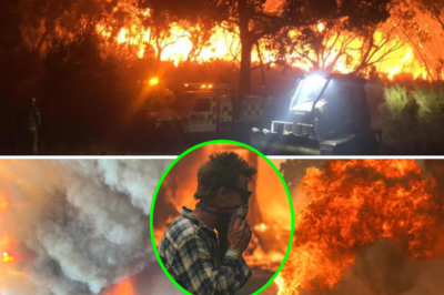 “Never seen in 40 years”: Gellibrand town surrounded by a giant “wall of fire,” residents flee in the night