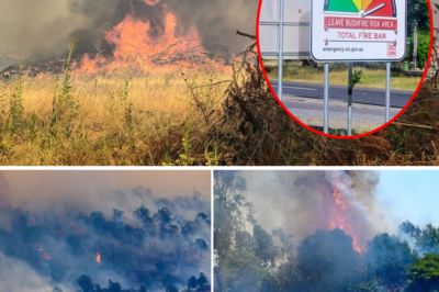 “He was found in an absolutely horrific condition”: A man was discovered d3ad inside a deformed car amidst the Victoria inferno