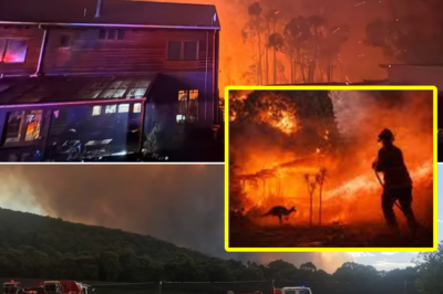 Double Disaster in Australia: Record Heat, 80,000 People Without Power, Entire Water Supply Under Critical Threat