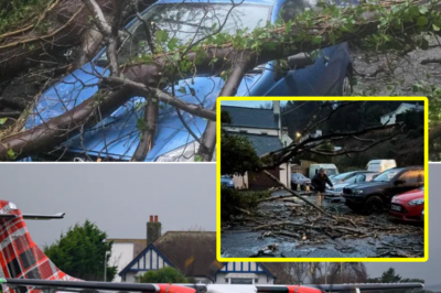 Travel Paralyzed, Multiple Flights Cancelled, Giant Trees Crushing Cars: Isle of Man Struggles to Cope with Storm Chandra