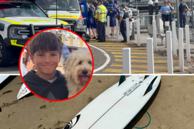 “Please save my child”: The family of the 12-year-old boy is facing the “worst possible outcome” after the Sydney shark attack