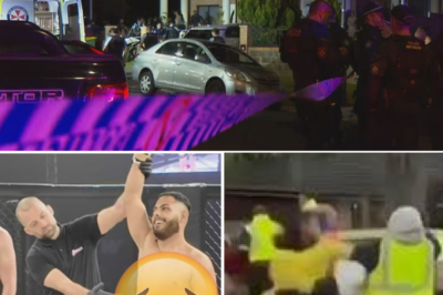 “My son is very innocent”: The mother of the MMA f!ghter st@bbed in the neck during a large-scale brawl in Sydney’s West has officially spoken out to clear her son’s name