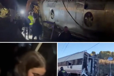 Twisted, overturned, engulfed in flames, and 40 lives lost: Amidst the wreckage, cries for help faded after the Spanish high-speed train tragedy
