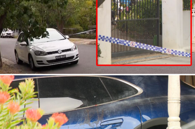 Melbourne love tragedy: Young woman severely st@bbed, suspect found d3:ad 350km from the scene