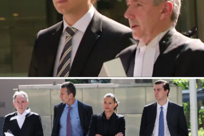 The documents have been prepared: The son of AFL legend Stephen Silvagni officially files an appeal, pointing out the judge’s errors