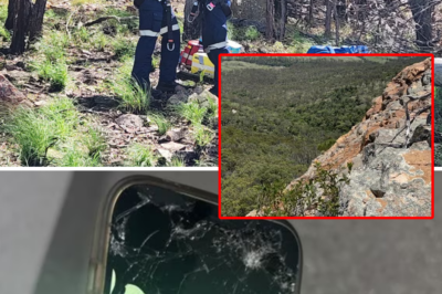 Miracle at Mount Walsh: Falling 80 meters from a d3:adly cliff, an 18-year-old survives thanks to an unexpected device!
