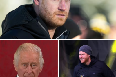 Harry receives a series of mixed opinions from the public after making a special proposal to King Charles