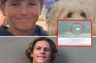 “We Are Deeply Sorry”: Extremely poor prognosis for the two shark attack victims in Australia