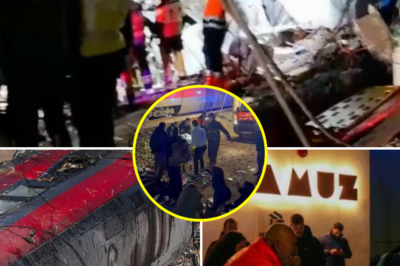 “WHERE ARE MY PARENTS? PLEASE SAVE THEM”: Victims cry out for their loved ones amidst the devastating rail tragedy in Spain