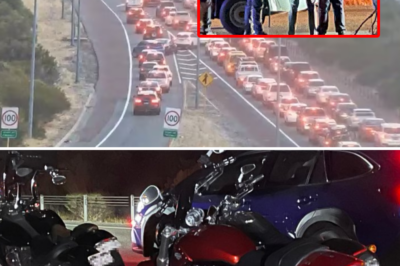 Chaos in Perth’s southern suburbs: 18 individuals arrested after a breathtaking chase