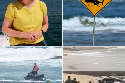 “We taught him to sacrifice for others”: Parents of hero boy in Sydney shark attack break silence on raising a child for life’s thinnest margins