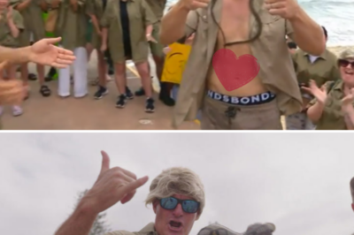 A man looks so uncannily like Robert Irwin that even the man himself cannot tell the difference