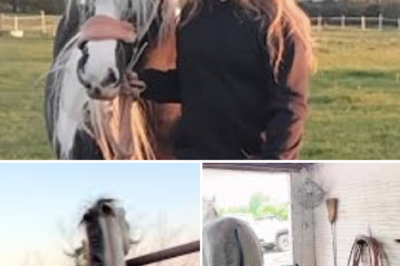 “The injuries are too severe, we are so sorry”: The heart-wrenching words to a mother following the d3:ath of her 13-year-old daughter from a fatal horse kick!