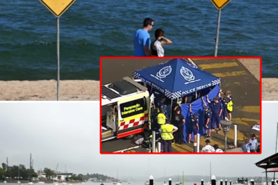 Sydney Harbour turned red: 12-year-old boy risks his life to save his friend amidst a shark’s fury, a h0rrific scene that leaves witnesses haunted!