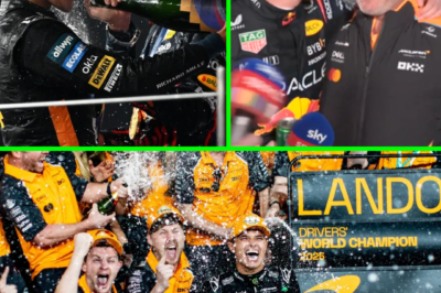 After a fiery F1 title battle, Max Verstappen has finally made his feelings clear about his relationship with Lando Norris