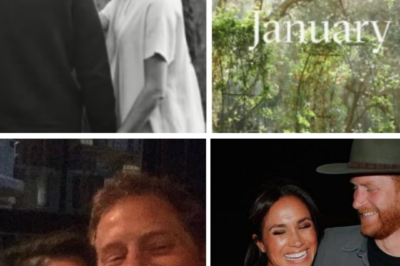 MEGHAN MARKLE SHARES NEW PICTURE WITH PRINCE HARRY — AND REVEALS THEIR TWO JANUARY PRIORITIES