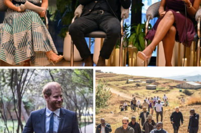 DOOR SLAMMED SHUT: Prince Harry will NOT return to his once-beloved charity — with insiders insisting there’s “absolutely no way” of a reunion after its image was left “tarnished”