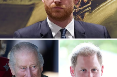 Prince Harry claims Royal Family read a ‘sinister document’ every year — and says it’s used as a ‘weapon’
