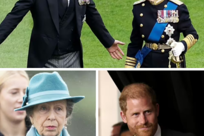 “NO ONE EXPECTED THIS SWIPE”: Prince Harry Takes a Brutal Shot at Princess Anne — And Fans Are Already Furious