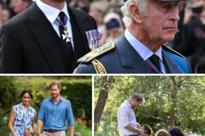 UNEXPECTED MOVE: Prince Harry signals desire for King Charles to visit his children in the US — what happens next?