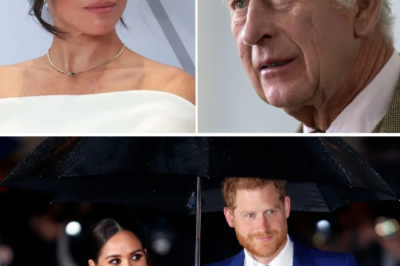 WHY THIS MEETING ISN’T ‘SIMPLE’ — NEW CLAIMS EMERGE ABOUT MEGHAN MARKLE AND BRITAIN
