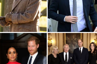 THE ROYAL ICE MAY BE CRACKING — PRINCE HARRY ‘EDGES CLOSER’ TO RAPPROCHEMENT AS A DECISION LOOM