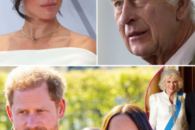 “PALACE ON EDGE!”: Meghan Markle ‘Has No Affection for Britain’ — Meeting With King Charles Described as Explosively Complicated