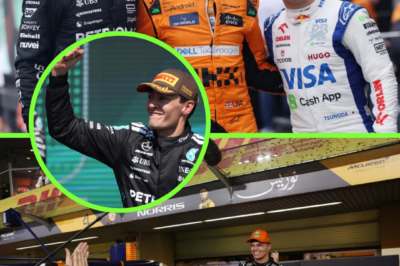 F1 SHOCKER: Lando Norris LEFT OUT as Damon Hill and Johnny Herbert Make Bold 2026 Conclusion — and the McLaren Star Isn’t Mentioned