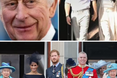 Prince Harry and Meghan Markle Offered ROYAL OLIVE BRANCH — But Only If They Agree to One SHOCKING Conditio