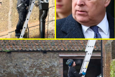 Prince Andrew’s Next Home Gets Ultimate Modern Upgrade in Stunning New Pictures — Fans Are Shocked