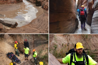 “CLUES ARE EMERGING…” Zion National Park is investigating ch!:lling new details that may reveal what led to the d3:aths of seven hikers — and early signs point to a disturbing chain of events