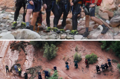 “THEY NEVER CAME HOME” — 7 Victims of Zion National Park Flash Flood Honored with Memorial Bench at Topanga State Park